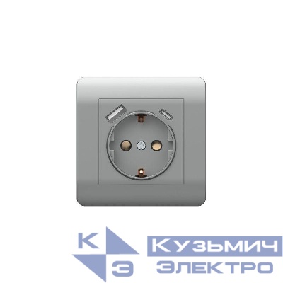 Розетка NEW3-E 16А с заземл. защ. шторки с 2-мя заряд. устройствами USB A+C 5В/2.1А серебр. CHINT 431454