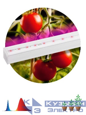 Светильник светодиодный для растений FITO-14W-Т5-N 14Вт 220-240В линейный для периода вегетации фиолет. свечение ЭРА Б0045232