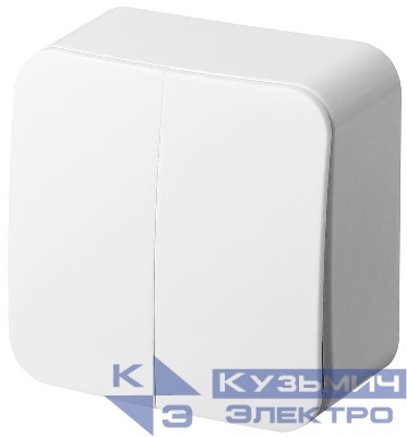 Выключатель 2-кл. ОП 10А IP20 бел. Jasmart FS3023W