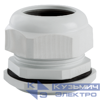 Сальник PG48 d36-44мм IP54 КЭАЗ 143113