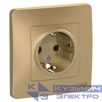 Розетка 1-м СП Blanca 16А IP20 250В с заземл. без защ. шторок титан SE BLNRS001014