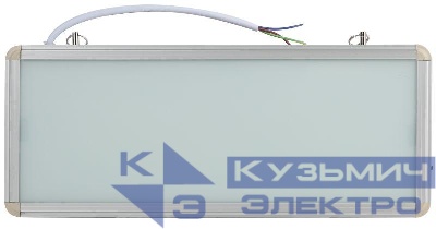 Светильник светодиодный SSA-101-0-20 3ч 3Вт без текста аварийныйЭРА Б0044387