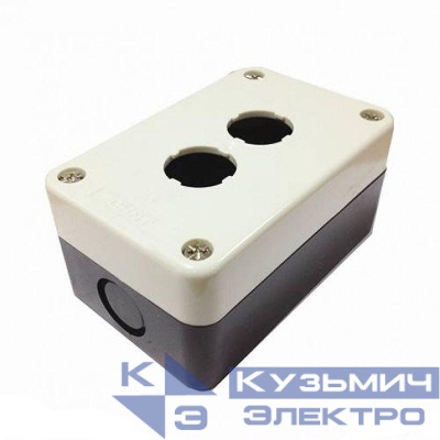 Корпус для кнопок NP2 2 места NP2-B02 CHINT 574885