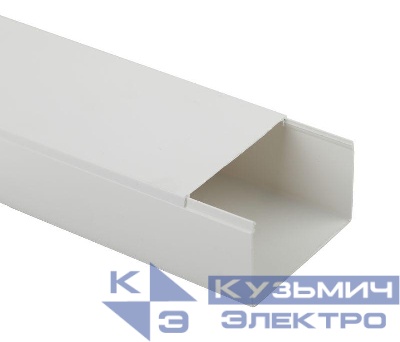 Кабель-канал 100х60 L2000 бел. Эра Б0031143