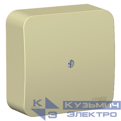 Коробка распределительная ОП Blanca 16А 250В IP42 беж. SE BLNRK000017