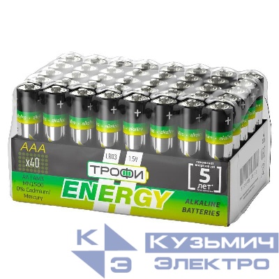 Элемент питания алкалиновый AAA/LR03 LR03-40 bulk Eco (уп.40шт) Трофи Б0027812