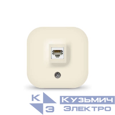 Розетка компьютерная ОП IP20 сл. кость IONICH 1432