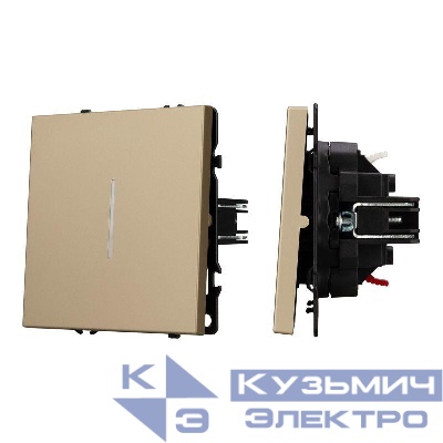 Выключатель непроходной 1-кл. LED SWT-NOBE-MK01-SFPL-L-GD 10А 230В механизм Arlight 054259