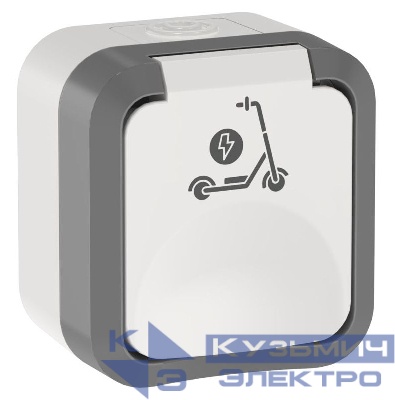 Розетка 1-м ОП TORS TS321 16А IP55 с заземл. защ. шторки с крышкой с иконкой самокат сер./бел. IEK TS-R110-16-55-K41