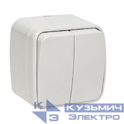 Выключатель 2-кл. ОП Минск 10А IP20 бел. Basic EKF EGV10-023-10