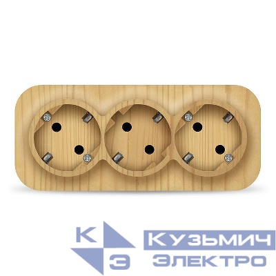 Розетка 3-м ОП 16А IP20 с заземл. сосна IONICH 1440