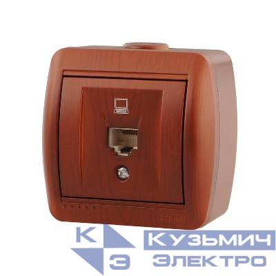 Розетка компьютерная 1-м ОП Nata RJ45 вишня LEZARD 710-0600-139