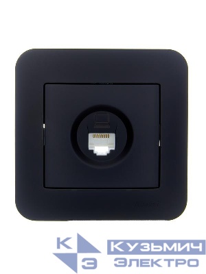 Розетка компьютерная 1-м СП ASTI IP20 RJ45 в сборе Cat 5e черн. бархат LEZARD 7081-4242-139