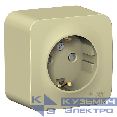 Розетка 1-м ОП Blanca 16А IP20 250В с заземл. защ. шторки с изолир. пластиной беж. SE BLNRA011117