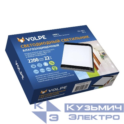 Светильник светодиодный ULW-Q280 22W/4000K/S02 IP65 Black Прямоугольник 22Вт 4000К IP65 200х160х58мм промышленный накладной влагозащ. опал. рассеив. бел. Volpe UL-00006711