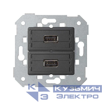 Коннектор 2хUSB 2.0 типа A мама Simon82 Detail 7501090-039