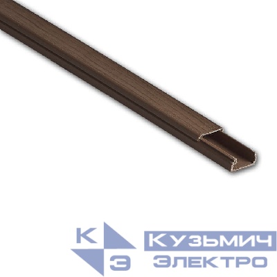 Кабель-канал 20х10 L2000 пластик дуб (темн. основа) Ruvinil РКК-20х10-08М