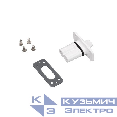 Заглушка ALT-LARGO-CAP-2pin (WH) (IP20 пластик) Arlight 030995