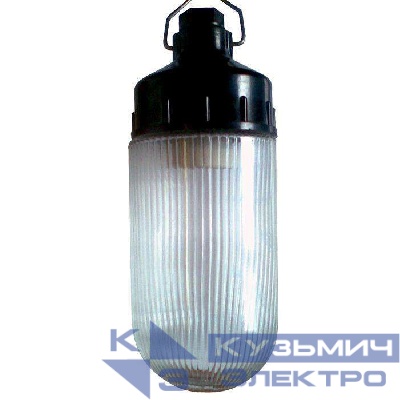 Светильник НСП 02-100-001 "Желудь Ф" IP65 корпус карболит Элетех 1005550307