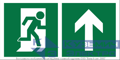 Знак безопасности BL-3015B.E38"Напр. к эвакуационному выходу прямо" Белый свет a18154