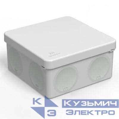 Коробка распределительная 60-0300 для прямого монтажа двухкомпонентная без содержания галогена (HF) 100х100х50 (1 шт/уп) Промрукав