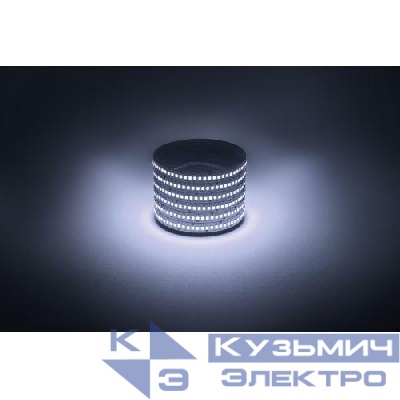 Лента светодиодная LS2835 -19.2-240-12-6500K-IP20-1 year-5m холод. бел. (уп.5м) Эра Б0059908