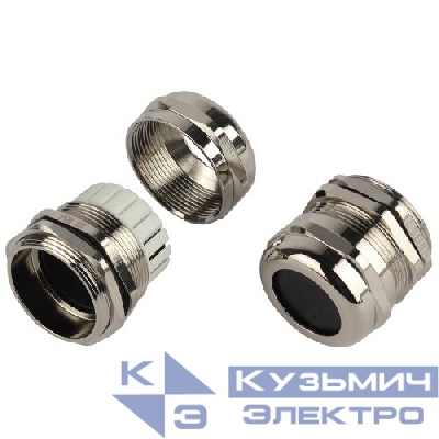 Ввод кабельный (сальник) PGM 29 d18-25мм (d отверст. 37мм) IP68 латунный (уп.3шт) Эра Б0065211