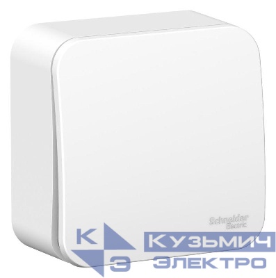 Выключатель 1-кл. ОП Blanca 6А IP20 (сх. 1) 250В с металлич. пластиной бел. SE BLNVA061021