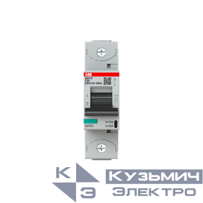 S801P-C80 Автоматический выключатель 1-полюсный 2CCG001226R0001