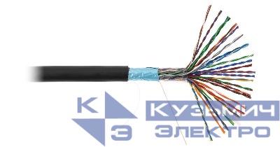 Кабель F/UTP кат.5 (класс D) 25 пар 100МГц ОЖ BC чистая медь внешн. PE до -40град.C черн. (уп.305м) NETLAN EC-UF025-5-PE-BK-3