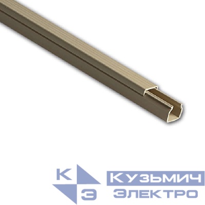 Кабель-канал 16х16 L2000 пластик сосна (светл. основа) Ruvinil РКК-16х16-27М