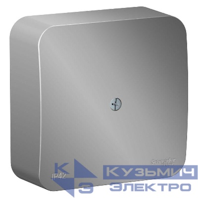 Коробка распределительная ОП Blanca IP42 алюм. SE BLNRK000013
