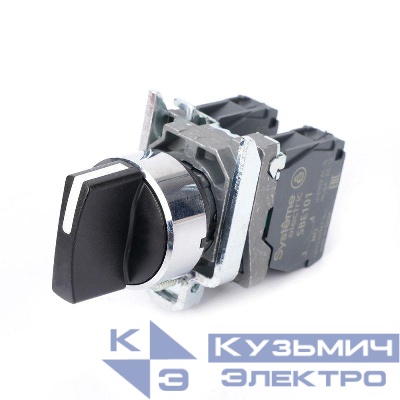 Переключатель модульный SB4 в сборе 22мм 3поз. с возвратом 2НО SE SB4BD53