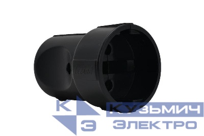 Розетка штепсельная Accessories без заземл. черн. LEZARD 715-1600-606B