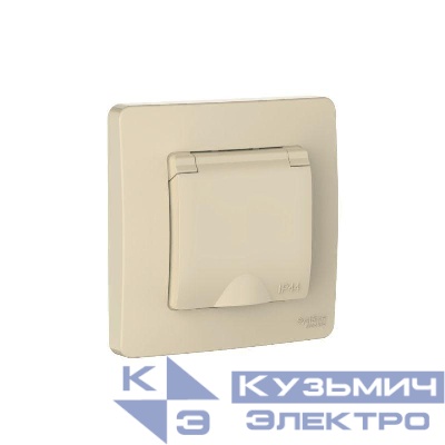 Розетка 1-м СП Blanca 16А IP44 250В с заземл. защ. шторки с крышкой беж. SE BLNRS441117