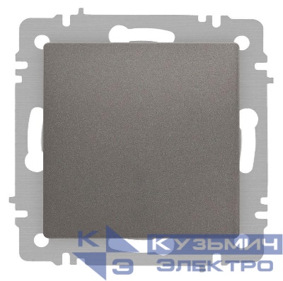 Выключатель 1-кл. СП Accent 6-101-09 10А IP20 250В AL/CU титан Intro Б0063440