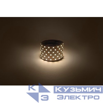 Лента светодиодная LS5050 -14.4-60-12-3000K-IP20-1 year-5m тепл. бел. (уп.5м) Эра Б0059909