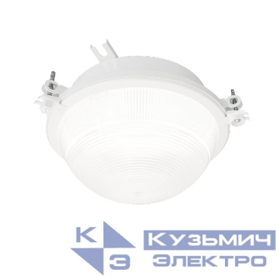 Светильник ЛОН НПП03-100-001 1х100Вт E27 IP65 Ардатов 1003100001