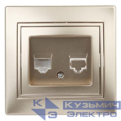 Розетка компьютерная 1-м СП Plano 1-303-04 RJ45 IP20 шампань Intro Б0030087
