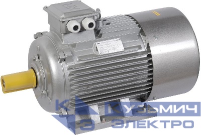Электродвигатель АИР DRIVE 3ф 200L8 380/660В 22кВт 750об/мин 1081 IEK DRV200-L8-022-0-0710
