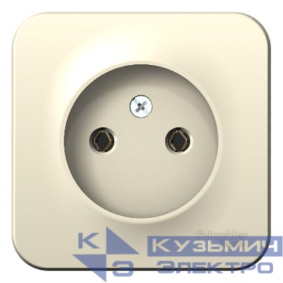 Розетка 1-м ОП Blanca 16А IP20 250В без заземл. без защ. шторок молоч. SE BLNRA000102