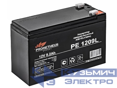 Аккумуляторная батарея для ИБП PROMETHEUS ENERGY РЕ1209L
