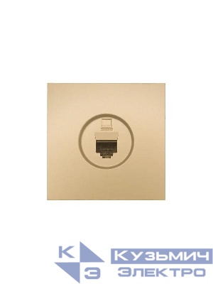Розетка компьютерная 1-мест. СП ZIMA IP20 зол. LEZARD 704-3688-139