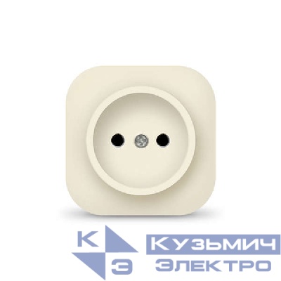 Розетка 1-м ОП 10А IP20 без заземл. сл. кость IONICH 1431