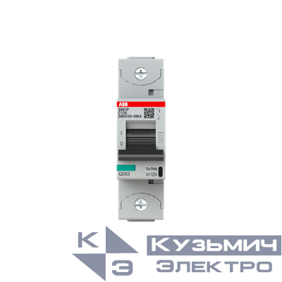 S801P-C125 Автоматический выключатель 1-полюсный 2CCG001228R0001