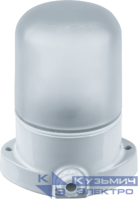 Светильник 61 509 NBL-SA1-60-E27-WH (НПБ 400 для сауны) IP54 прямое основание Navigator 61509
