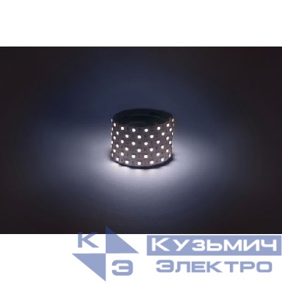 Лента светодиодная LS5050 -14.4-60-12-6500K-IP20-1 year-50m холод. бел. (уп.50м) Эра Б0059927
