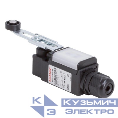 Светильник светодиодный с концевым выключателем. 4Вт.С поворотным регулируемым рычажным роликом. DKC R5MCPCRS