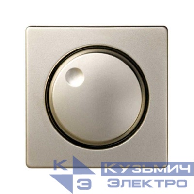 Накладка на 75311-; 75313-; 75314-; 75319-39 Simon82/82Nature шампань 82054-34