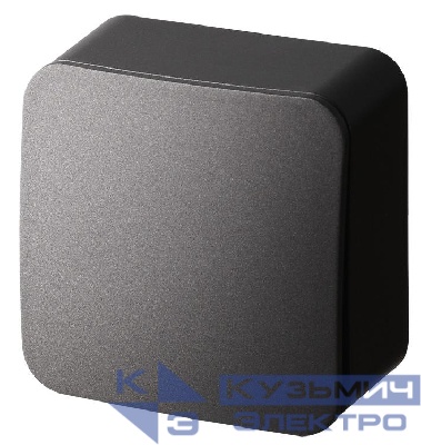 Выключатель 2-кл. ОП 10А IP20 антрацит Jasmart FS3011B